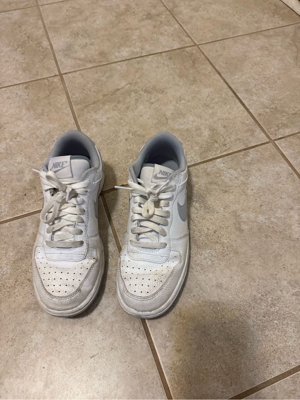Nike White and Light Gray Low-Top Sneakers